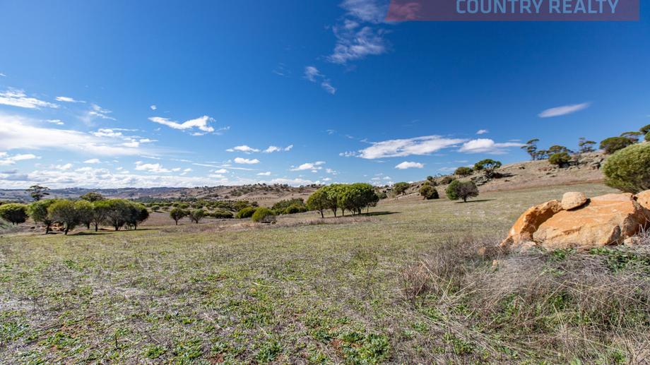  Nockdominie Road Toodyay WA 6566