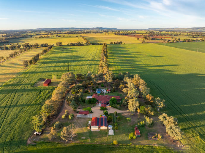 'Matilda'  Noonbinna East Road Cowra NSW 2794