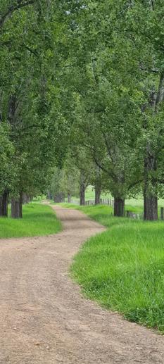 1301 Chichester Dam Road, Bandon Grove, Via Dungog NSW 2420