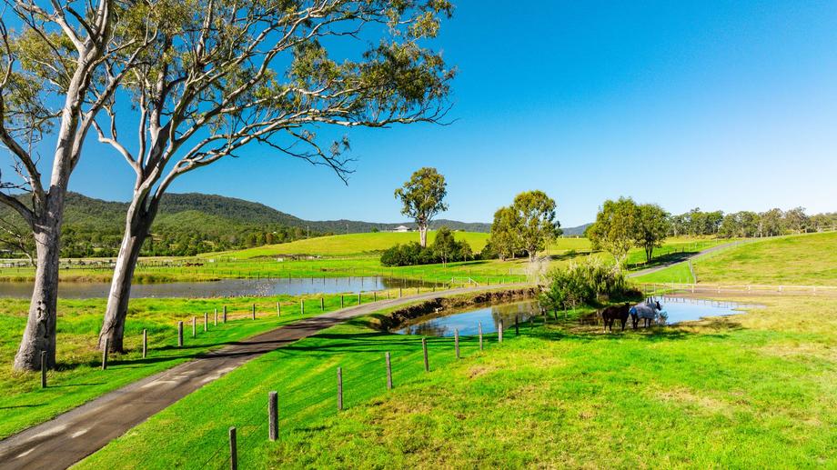 3483 Beaudesert Nerang Road Biddaddaba QLD 4275