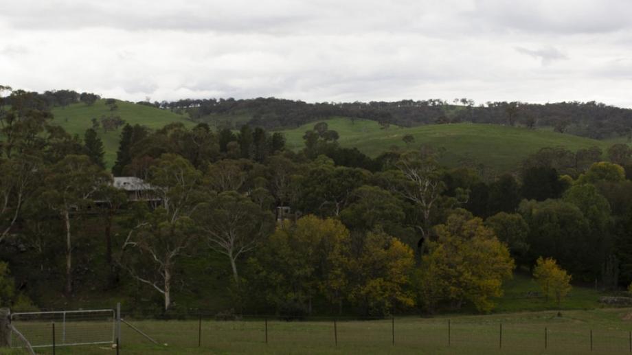 Address available by request