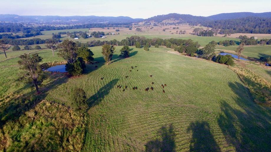 1368 Rollands Plains Road Rollands Plains NSW 2441