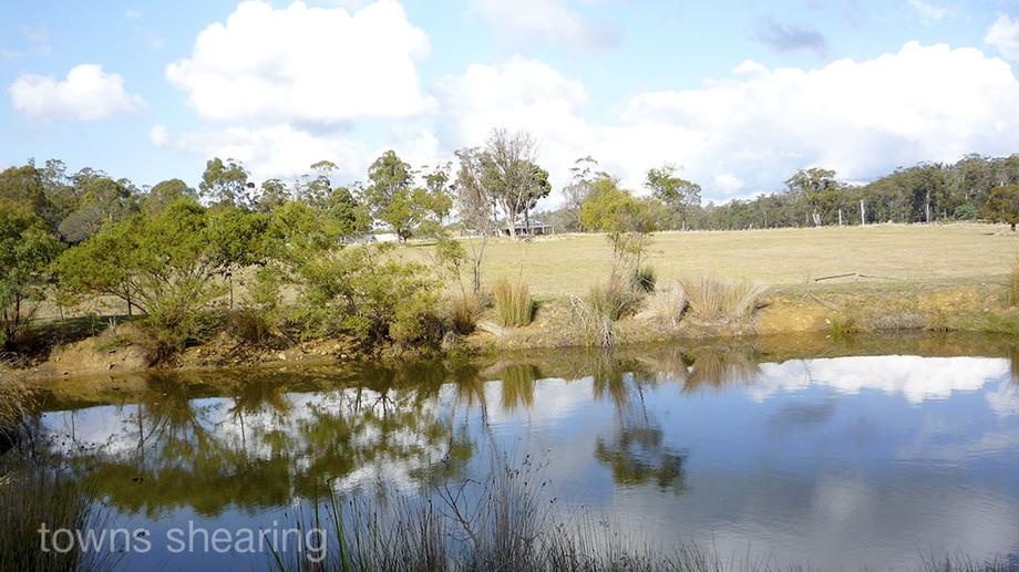 2304 East Tamar Highway Mount Direction TAS 