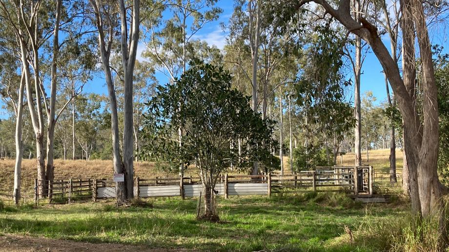 142 Perry River Farms Road Morganville QLD 4671