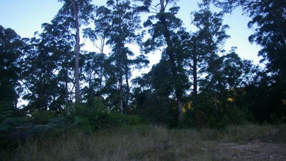 Address available by request