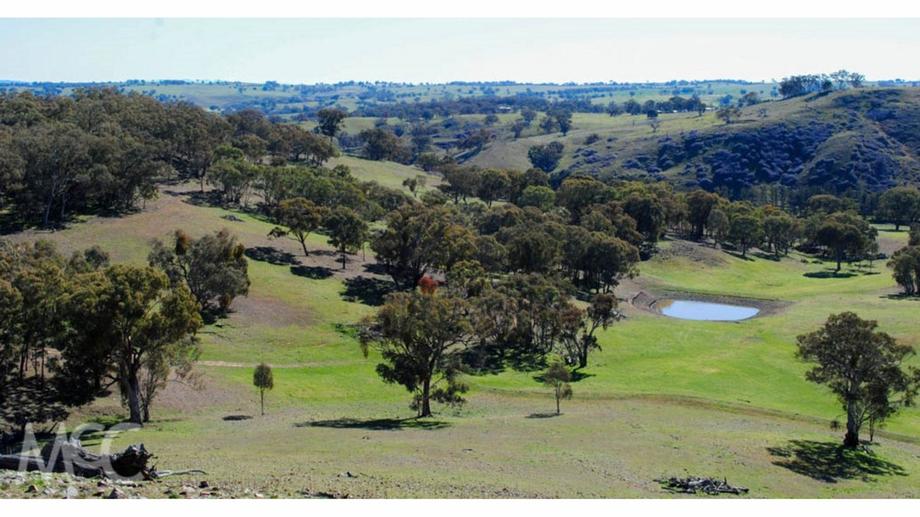 'Boree Vie Boree Lane Orange NSW 2800