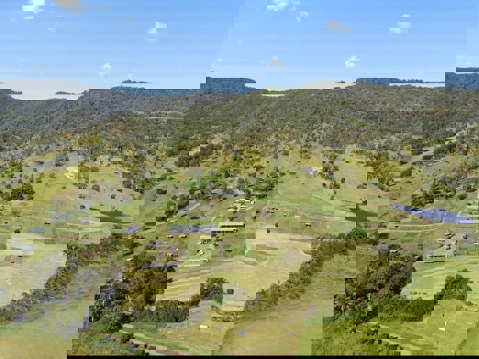 611 Biddaddaba Creek Road Biddaddaba QLD 4275