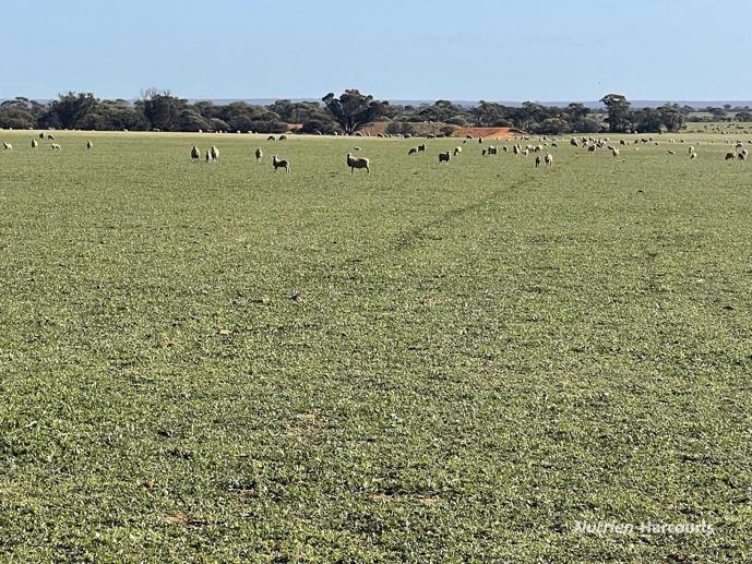 2159 Mouroubra Road Beacon WA 6472