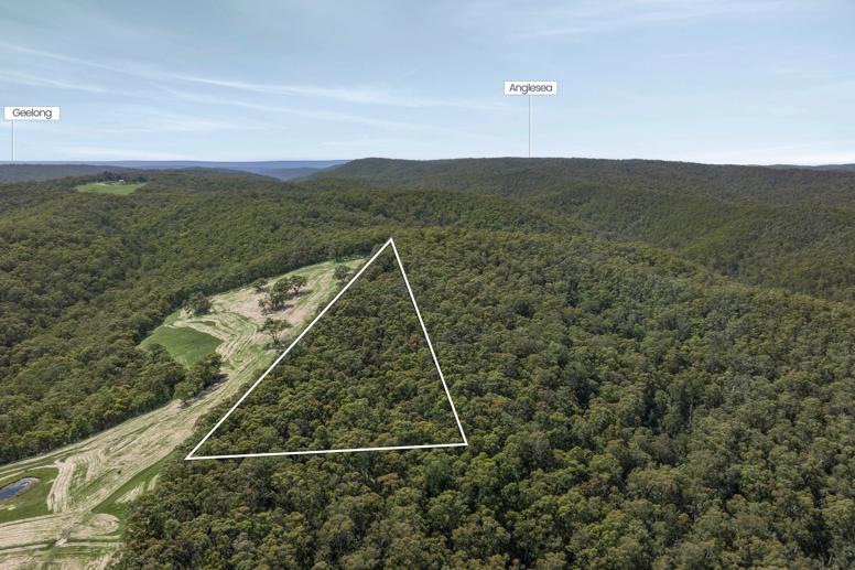 125 Marks Track Deans Marsh VIC 3235