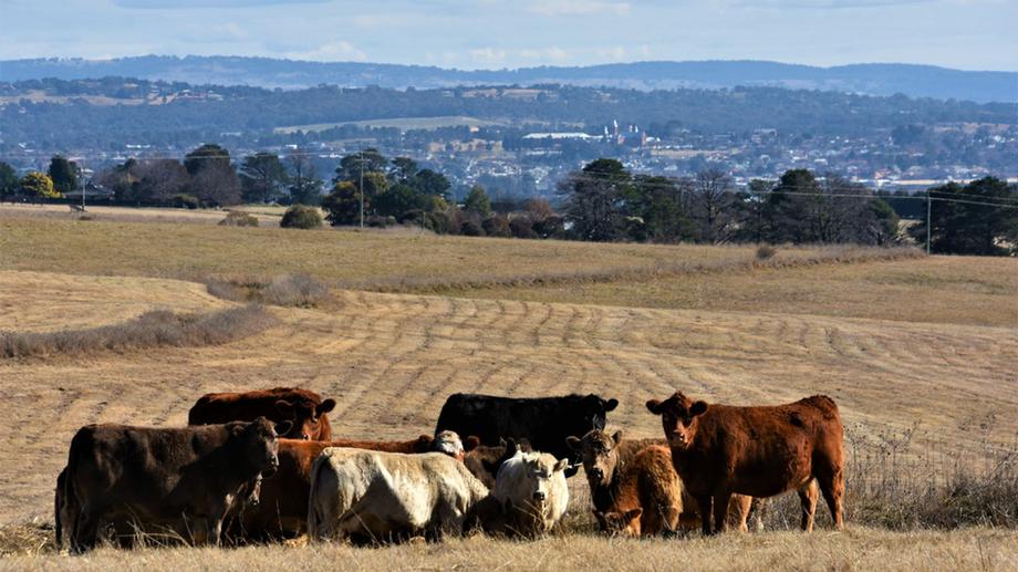 3880 O&amp;apos;Connell Road Kelso NSW 2795