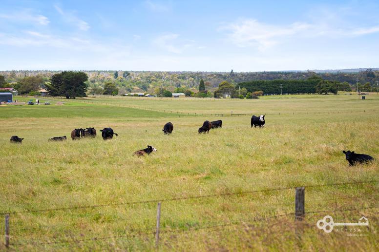  Wanwin Road Dartmoor VIC 3304