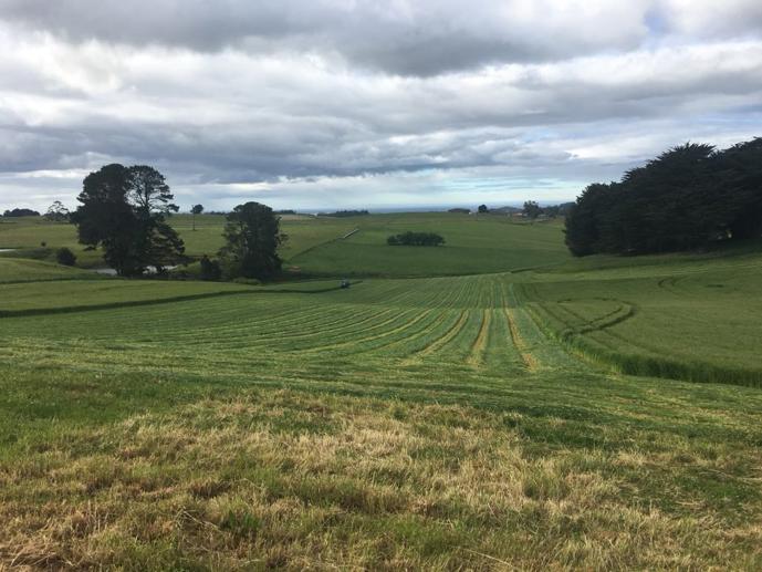 Part of 13 Kindred Road Kindred TAS 7310