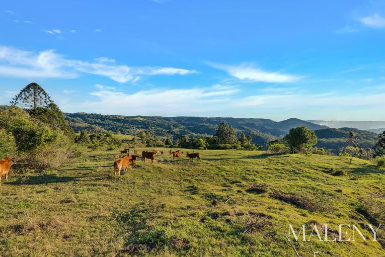 LOT 2 Maleny Kenilworth Road Witta QLD 4552