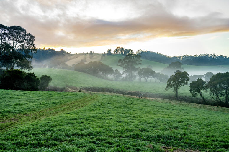 1431 Coramba Road Dorrigo NSW 2453