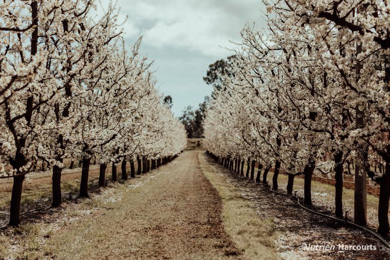 176 Chevin Road Roleystone WA 6111