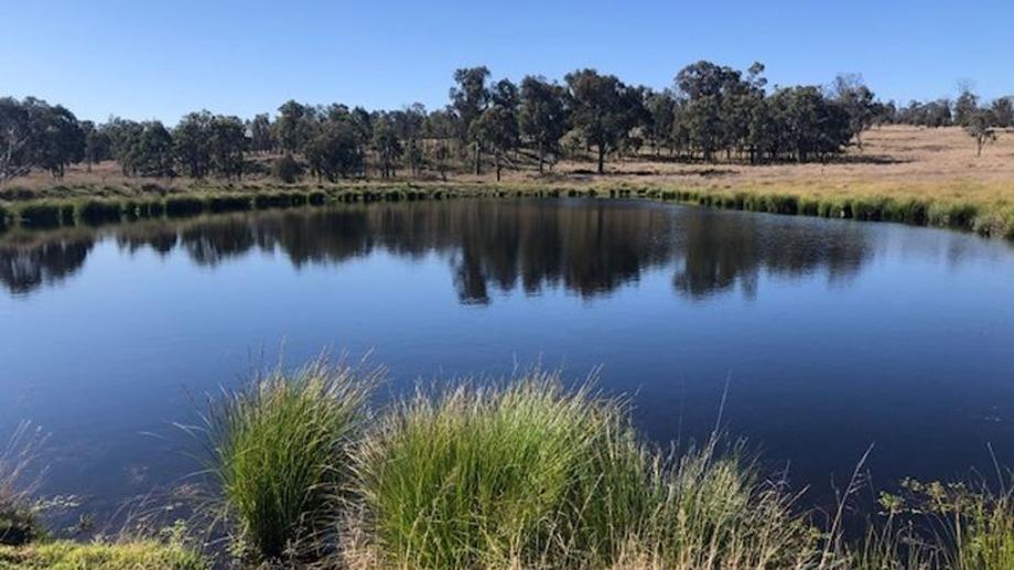 Lot 1 Pine Grove Road Ballandean QLD 4382