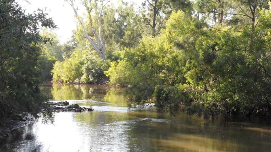 239 Metzger Road Mutchilba QLD 4872