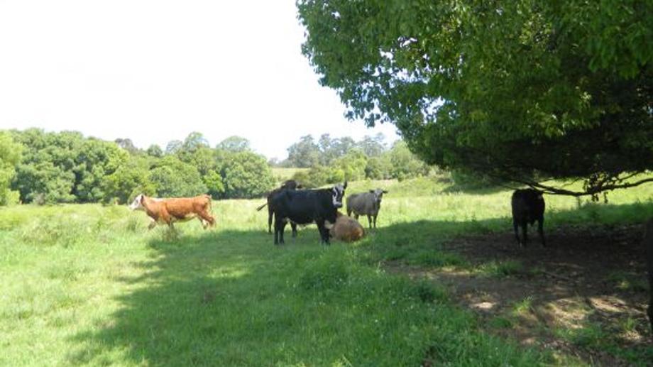 Address available by request