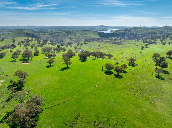 321 Mount Macquarie Road Carcoar NSW 2791