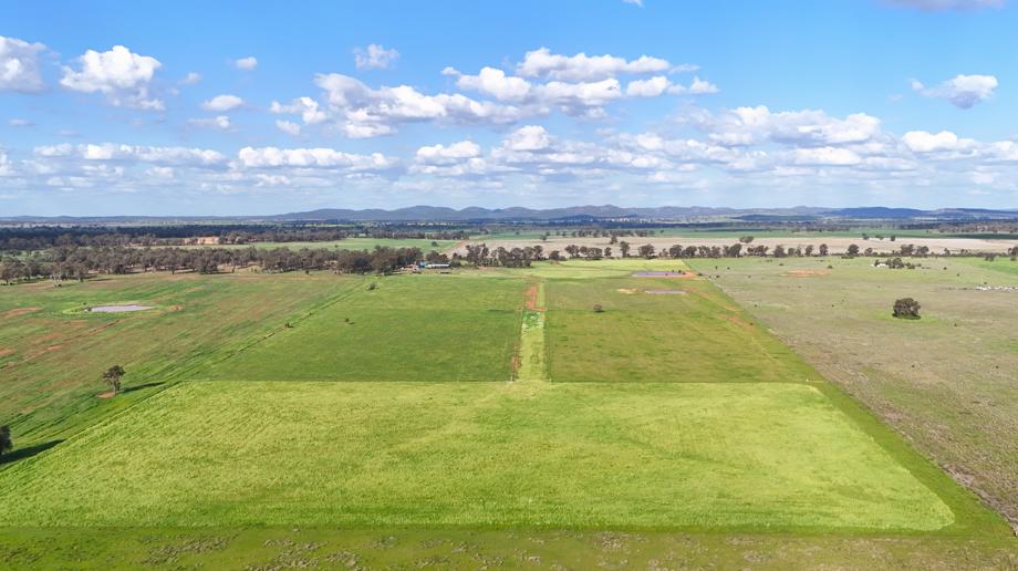 1238 Tomingley Road Narromine NSW 2821