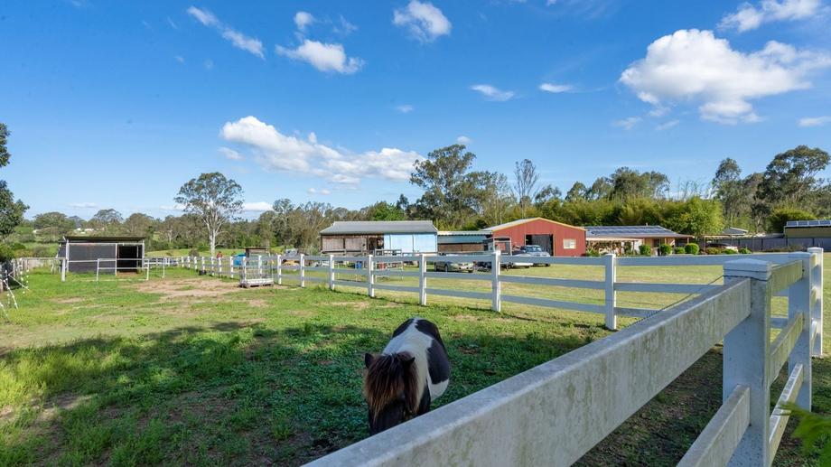293-303 Leopardwood Road Cedar Grove QLD 4285