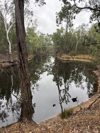 250 Round Mountain Rd Burra Burri QLD 4410