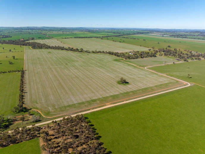 166 Mathews Road Downside NSW 2650