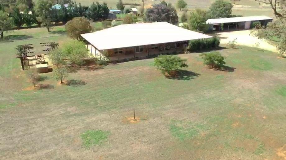 603 Spring Creek Road Young NSW 2594