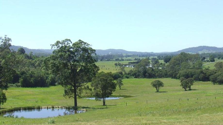 231 Upper Rollands Plains Road Rollands Plains NSW 2441