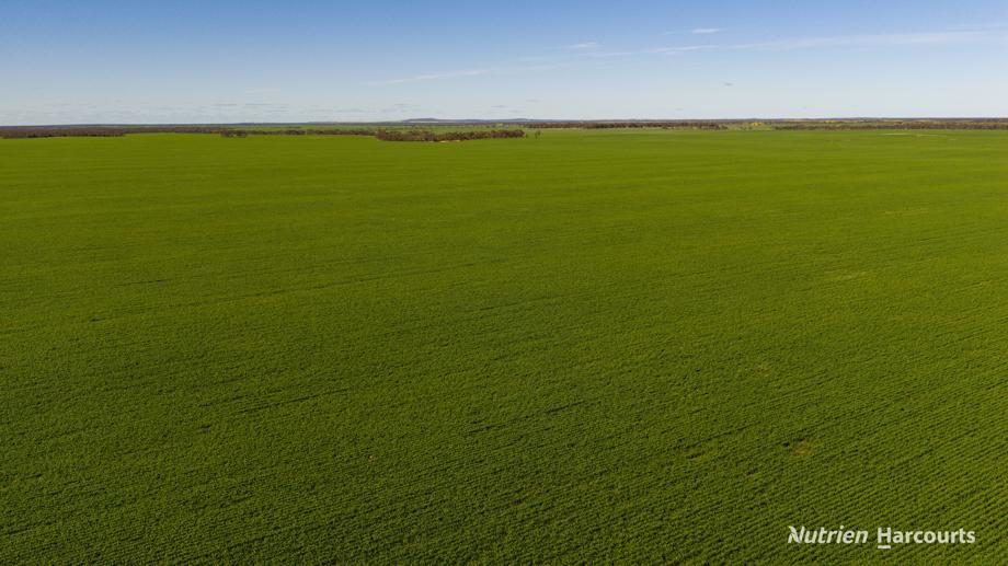 . Styles Road Scaddan WA 6447