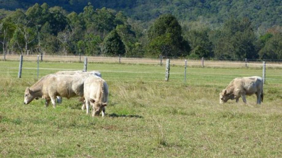 Address available by request