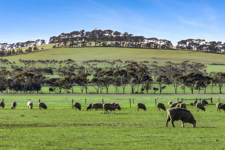 2125 Barrabool Road Mount Moriac VIC 3240