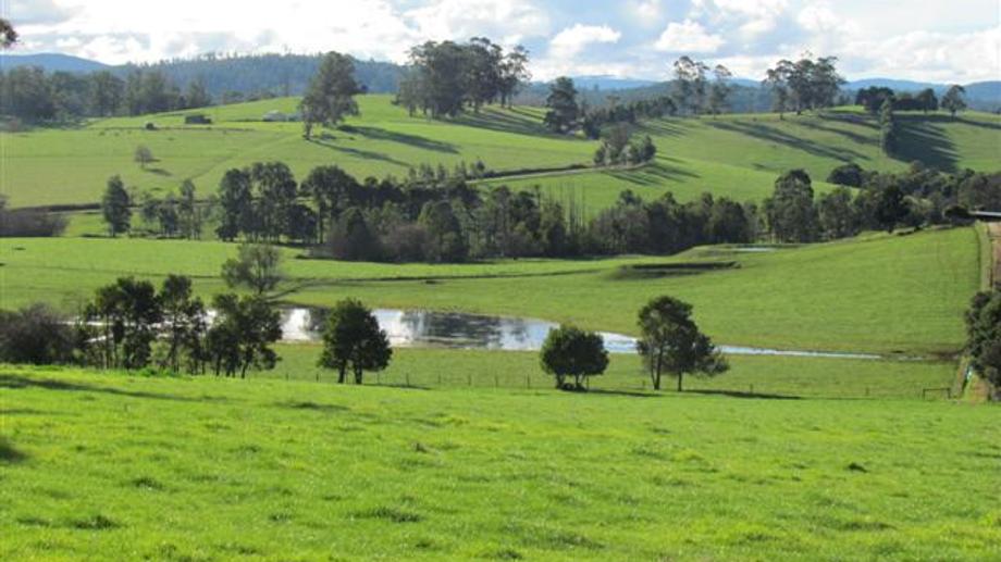 Cnr Jacksons Track &amp; Jindivick North Road Jindivick VIC 