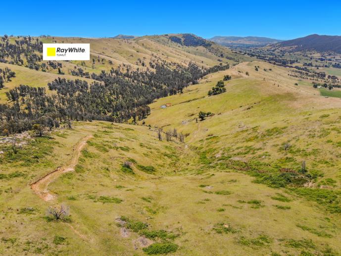 617793 Stewarts Road Batlow NSW 2730