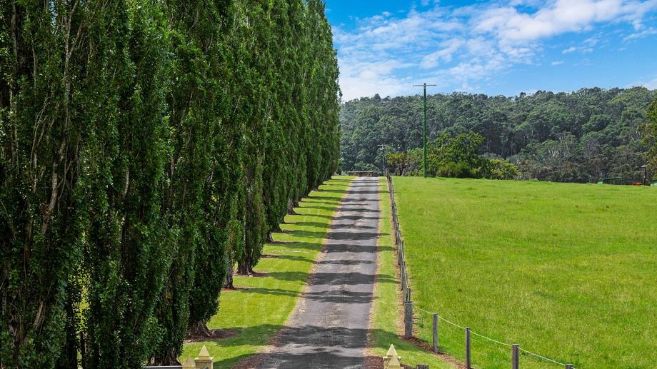 470 Larrys Mountain Road Mogendoura NSW 2537