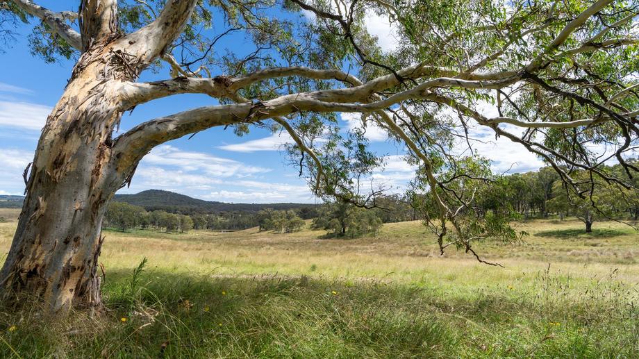 Lot 10 Wallerawang Rydal Road Mount Lambie NSW 2790
