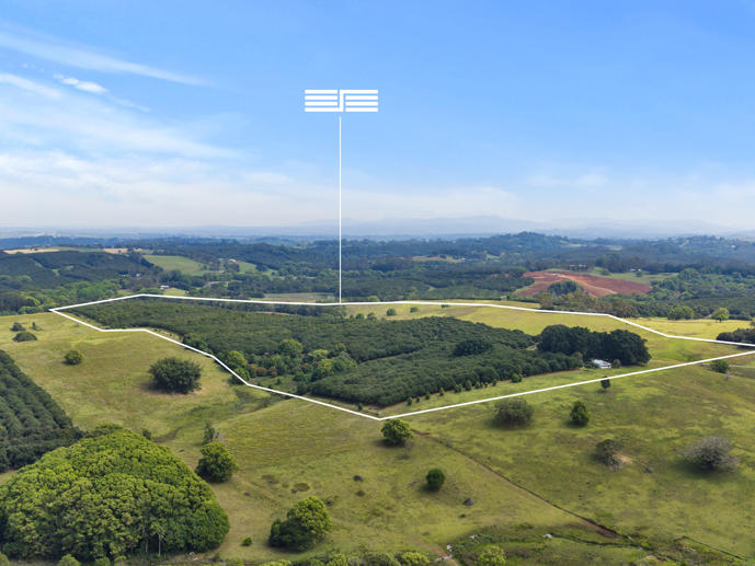 241 Alcorn Road Knockrow NSW 2479