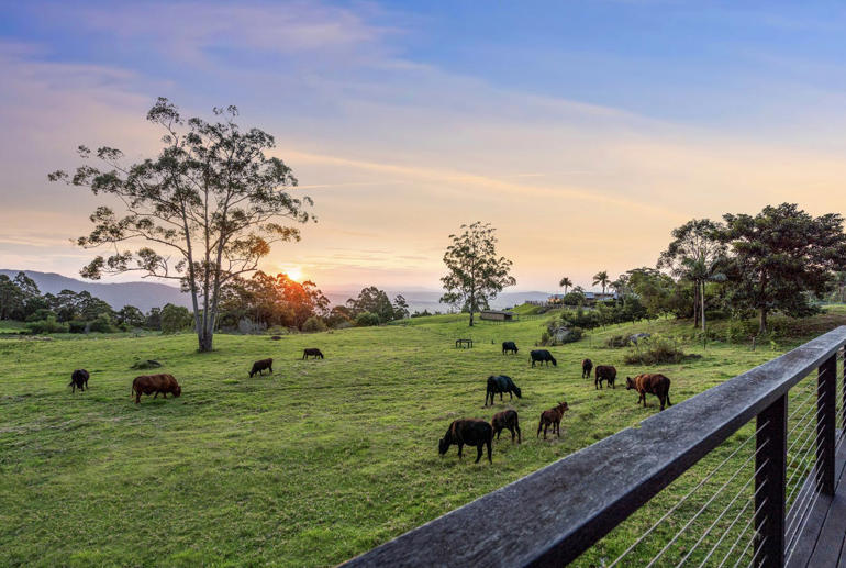 429A Main Western Road Tamborine Mountain QLD 4272