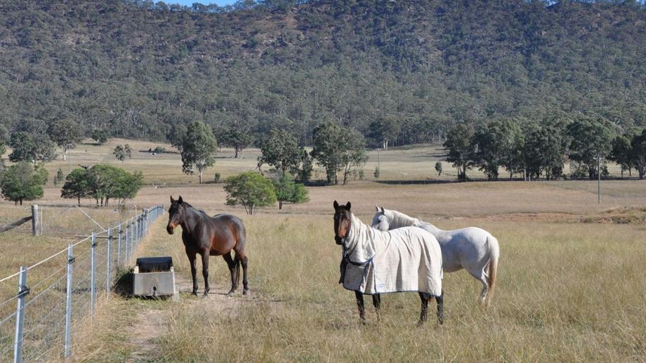 1971 Martindale Rd, 'Kooinda' Denman NSW 2328