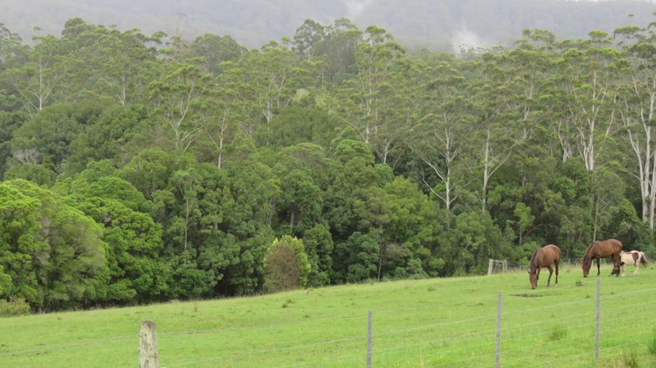 532 Newee Creek Road Macksville NSW 2447