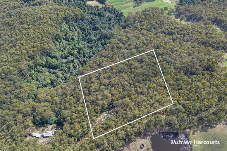 565 Hedley Range Road Binginwarri VIC 3966