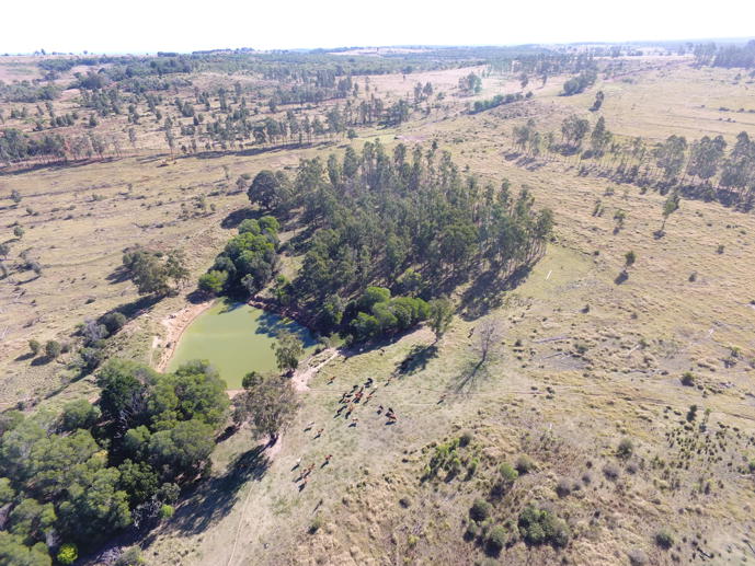 1377 Dangore Mountain Road Dangore QLD 4610