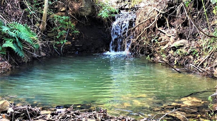 163 Ravensbourne Dip Road Ravensbourne QLD 4352