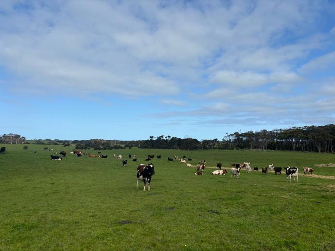 678 Pegarah Road Pegarah TAS 7256