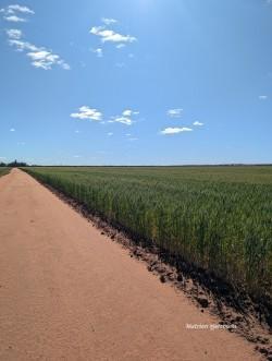 "Fox's" Koorda-Bullfinch Road Warralakin WA 6421