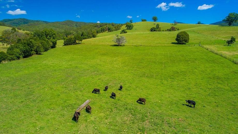 40 Ready Money Road Rollands Plains NSW 2441