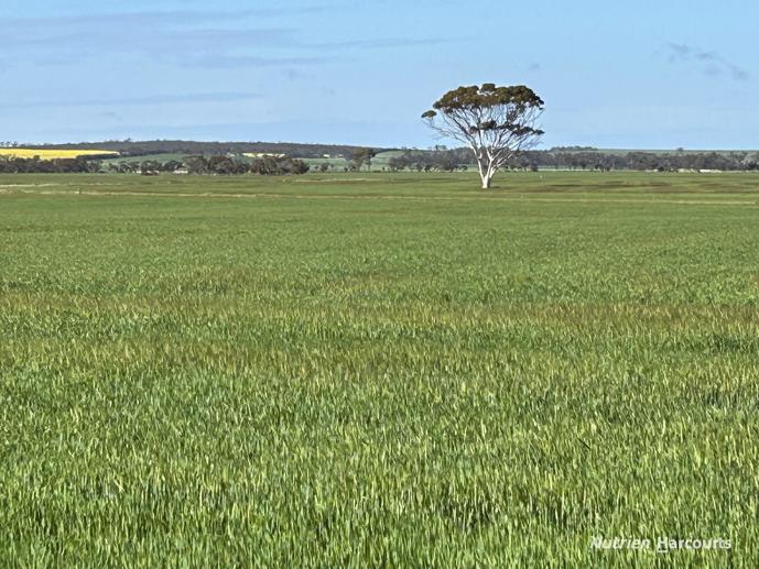 10075 Hopkins Road Kulin WA 6365