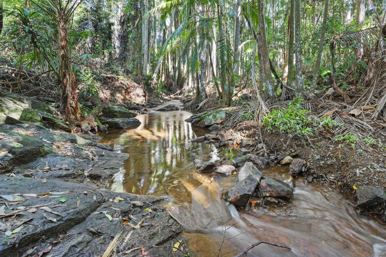 28a Geissmann Street Tamborine Mountain QLD 4272