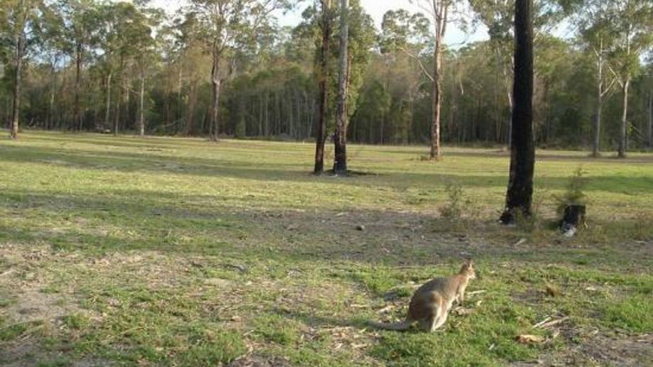 95 Inches Road East Kempsey NSW 2440