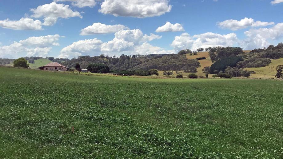 510 Chatham Valley Road Chatham Valley NSW 2787